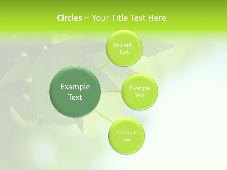 A Green Leaf Is Hanging From A Tree PowerPoint Template