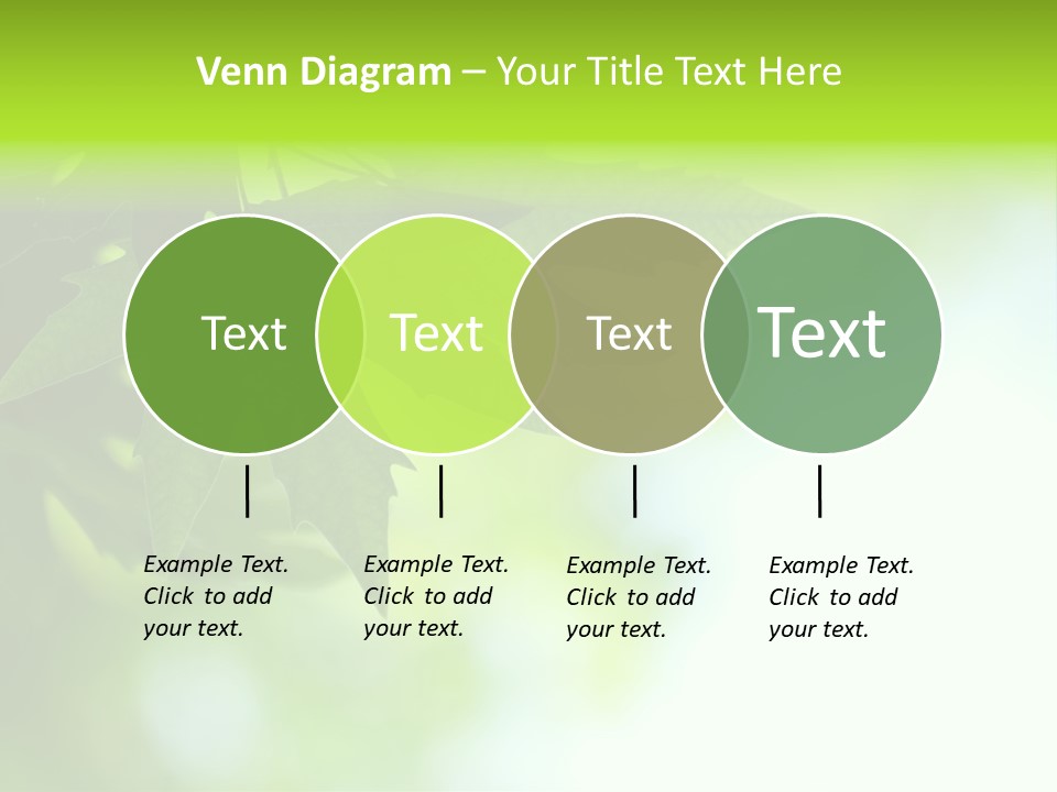 A Green Leaf Is Hanging From A Tree PowerPoint Template