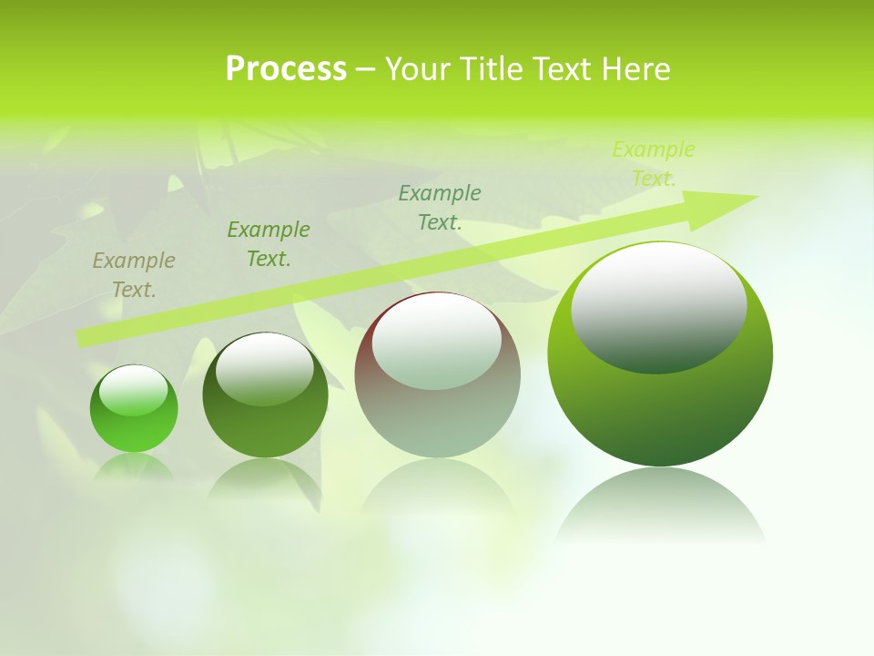 A Green Leaf Is Hanging From A Tree PowerPoint Template