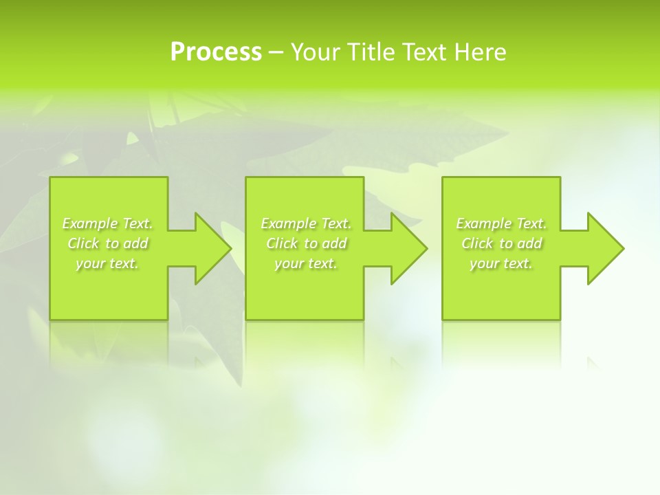 A Green Leaf Is Hanging From A Tree PowerPoint Template
