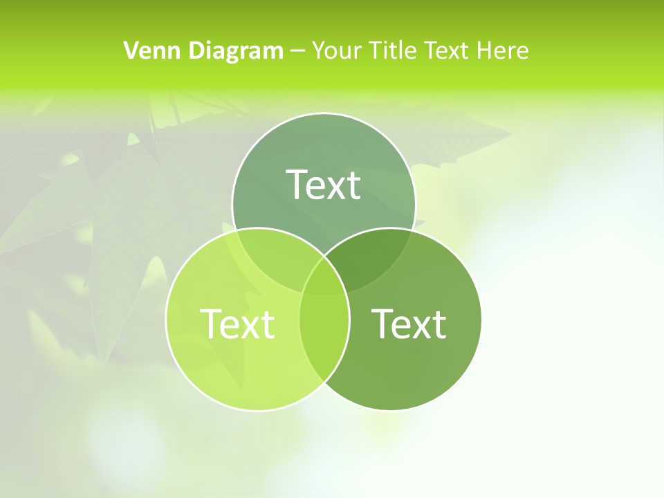 A Green Leaf Is Hanging From A Tree PowerPoint Template