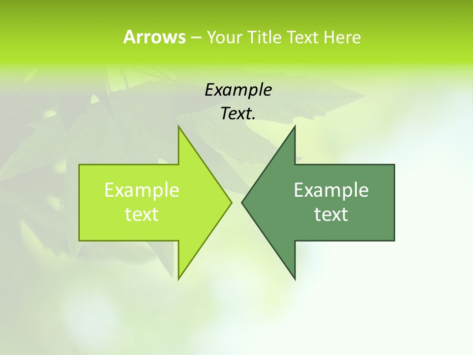 A Green Leaf Is Hanging From A Tree PowerPoint Template