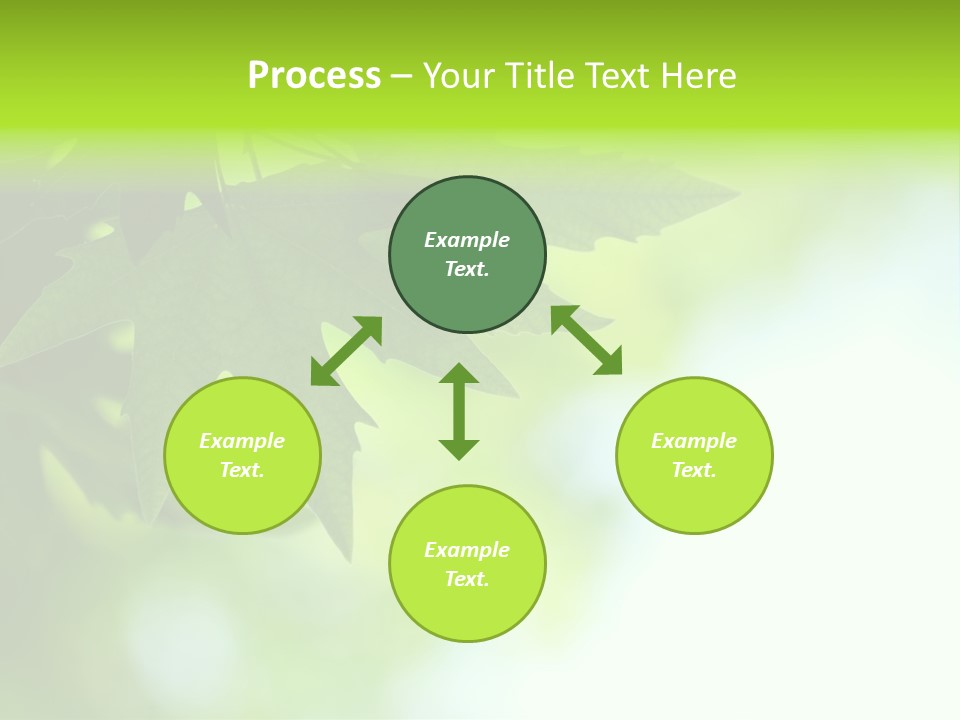 A Green Leaf Is Hanging From A Tree PowerPoint Template