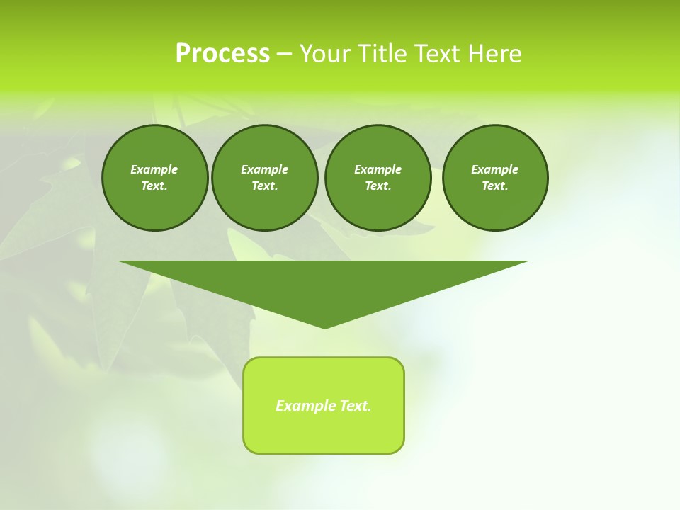 A Green Leaf Is Hanging From A Tree PowerPoint Template
