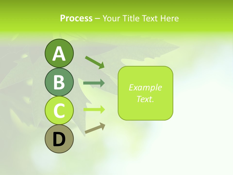 A Green Leaf Is Hanging From A Tree PowerPoint Template