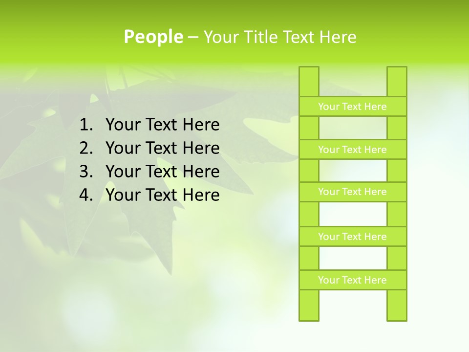 A Green Leaf Is Hanging From A Tree PowerPoint Template