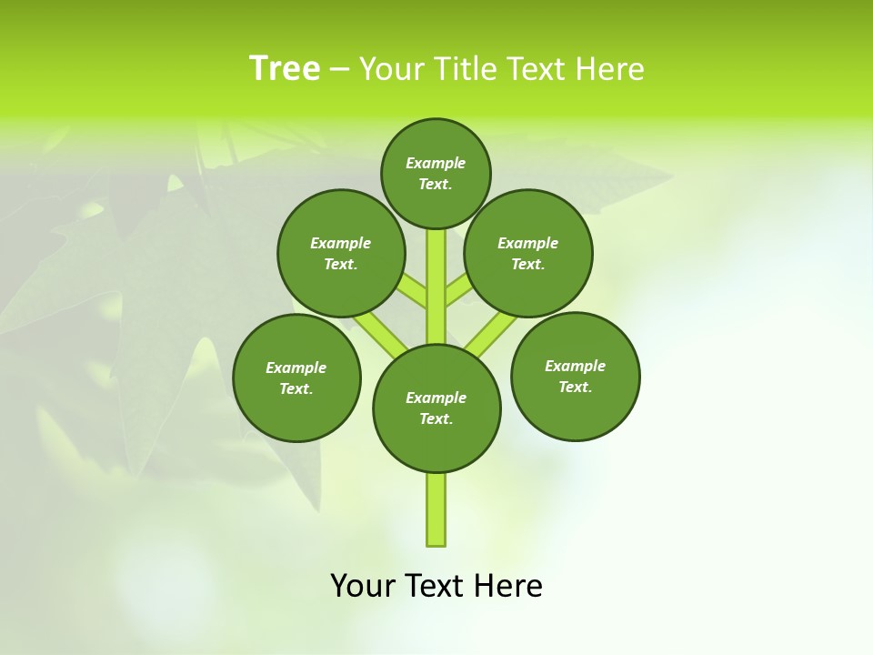 A Green Leaf Is Hanging From A Tree PowerPoint Template