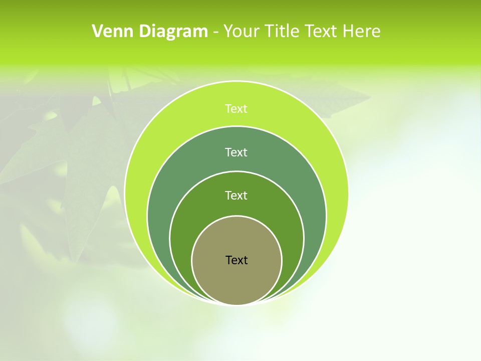 A Green Leaf Is Hanging From A Tree PowerPoint Template