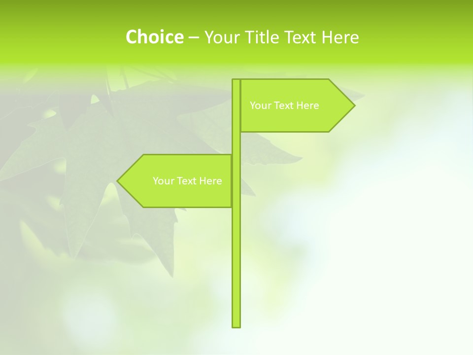 A Green Leaf Is Hanging From A Tree PowerPoint Template