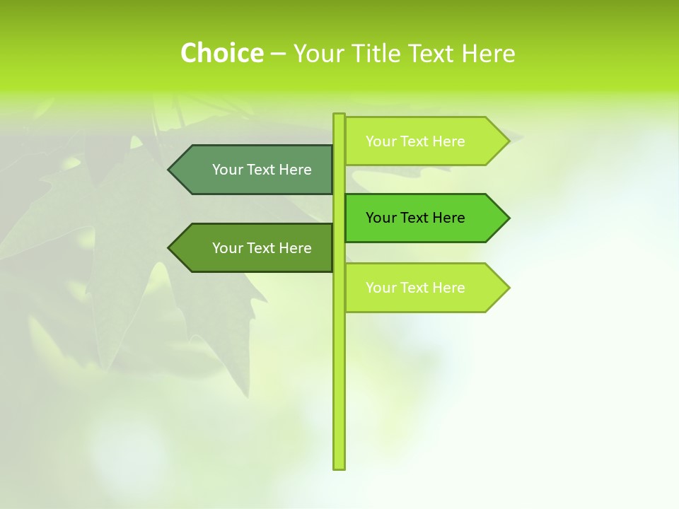 A Green Leaf Is Hanging From A Tree PowerPoint Template