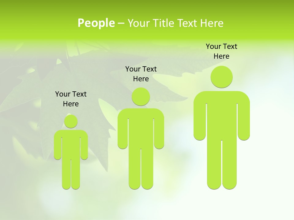 A Green Leaf Is Hanging From A Tree PowerPoint Template