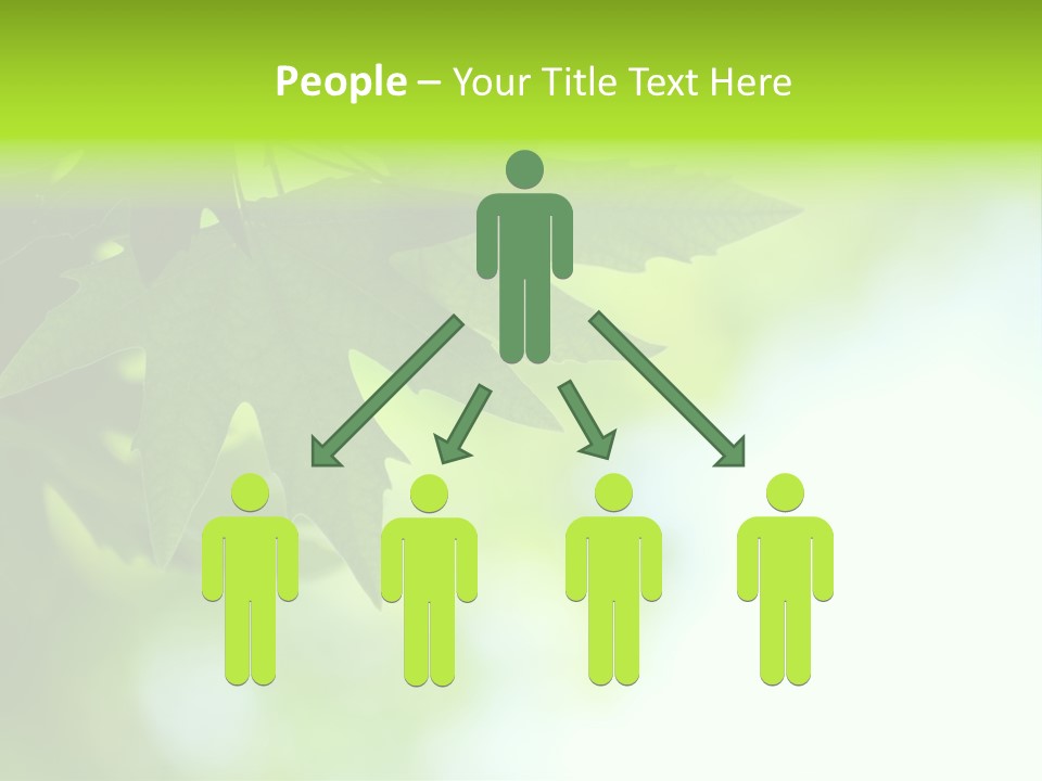 A Green Leaf Is Hanging From A Tree PowerPoint Template