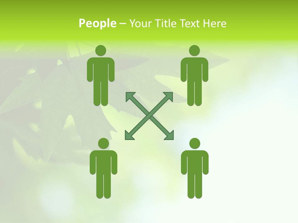 A Green Leaf Is Hanging From A Tree PowerPoint Template