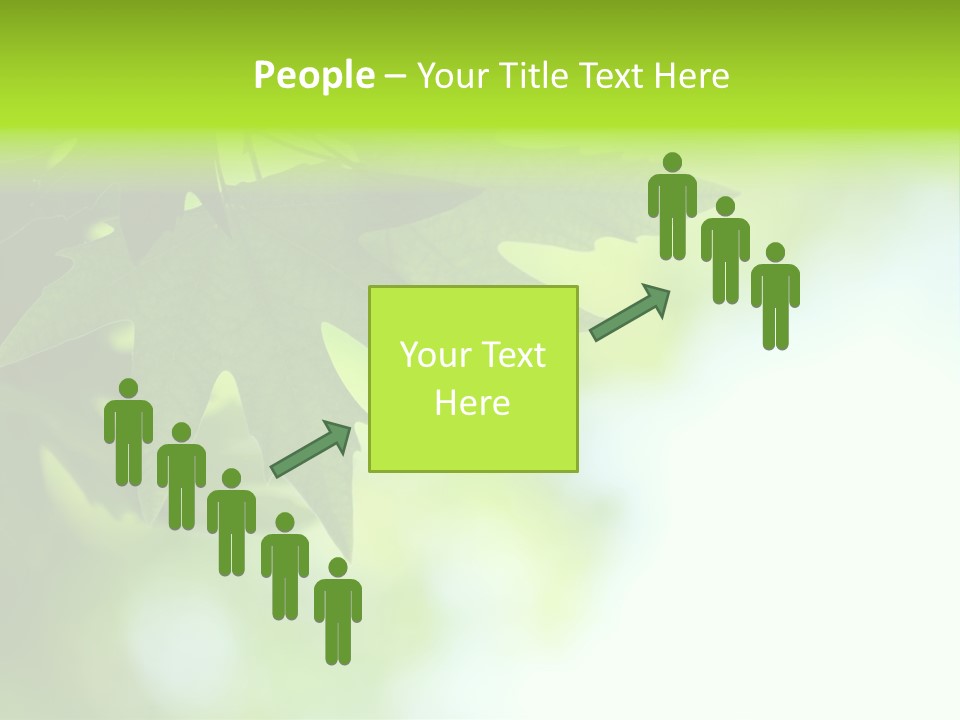 A Green Leaf Is Hanging From A Tree PowerPoint Template