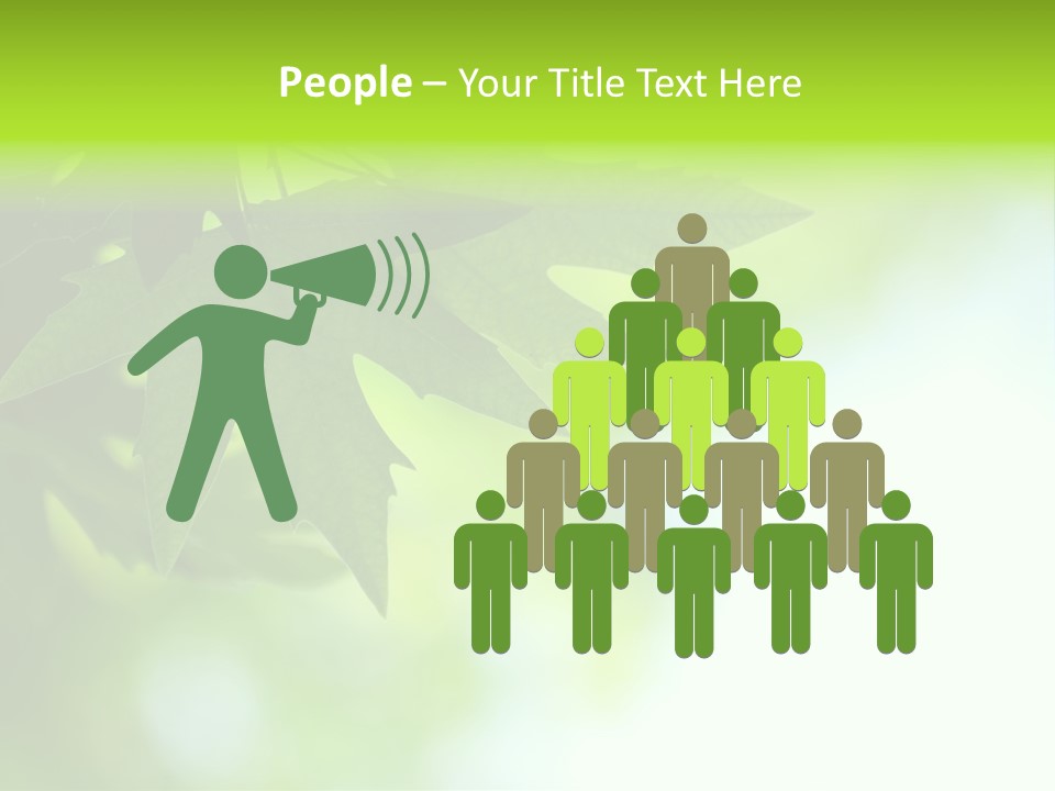 A Green Leaf Is Hanging From A Tree PowerPoint Template