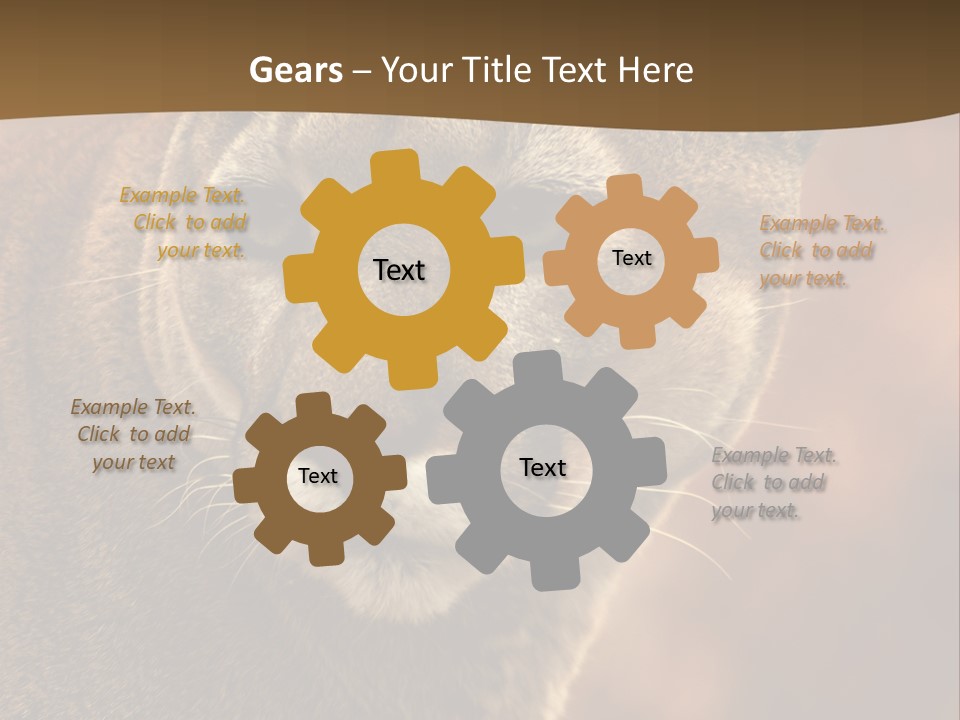 Peeking Cougar PowerPoint Template