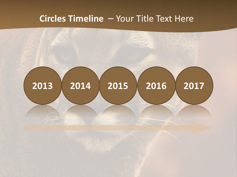 Peeking Cougar PowerPoint Template