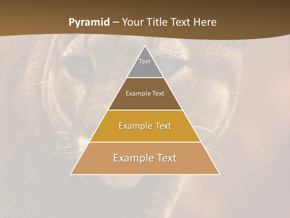 Peeking Cougar PowerPoint Template