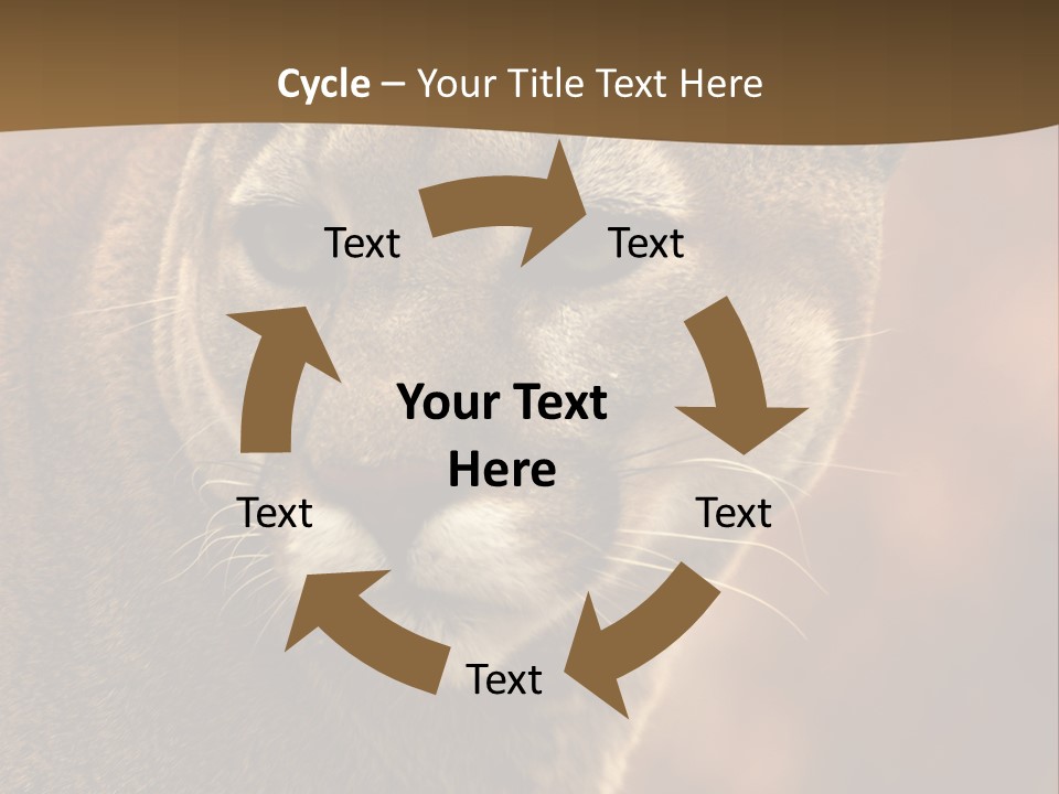 Peeking Cougar PowerPoint Template