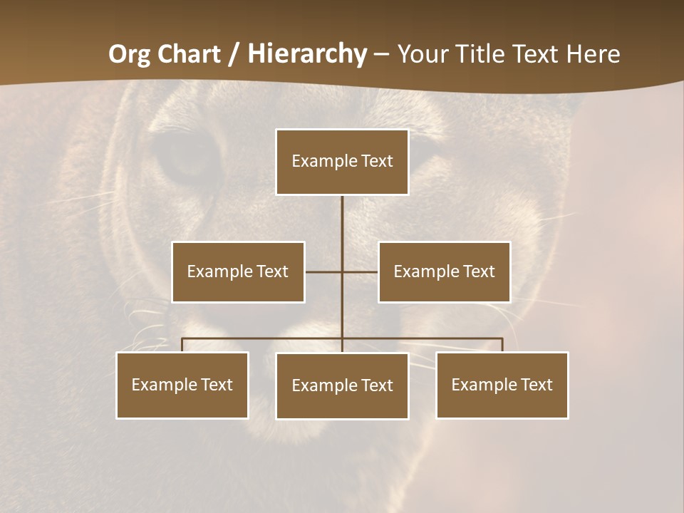 Peeking Cougar PowerPoint Template