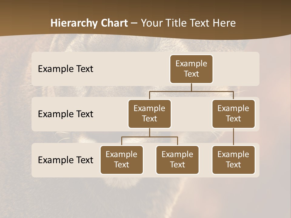 Peeking Cougar PowerPoint Template