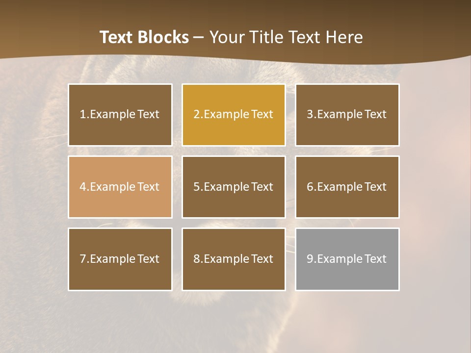 Peeking Cougar PowerPoint Template