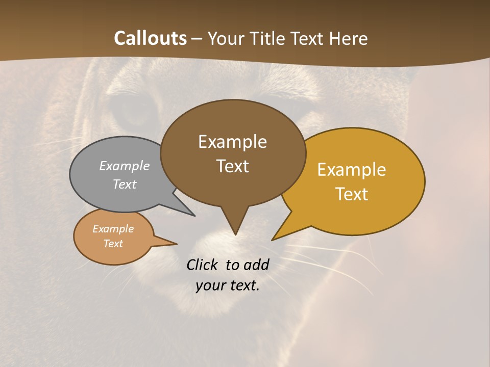 Peeking Cougar PowerPoint Template