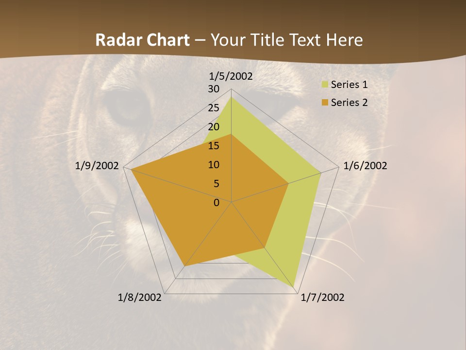 Peeking Cougar PowerPoint Template