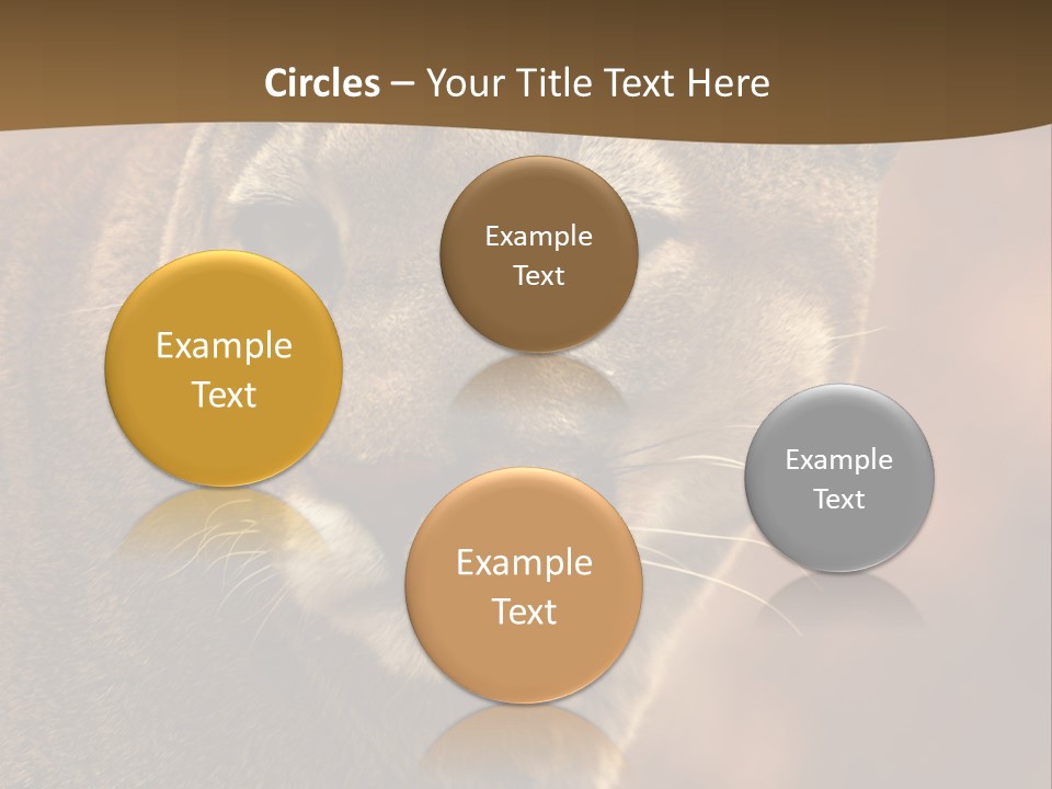 Peeking Cougar PowerPoint Template