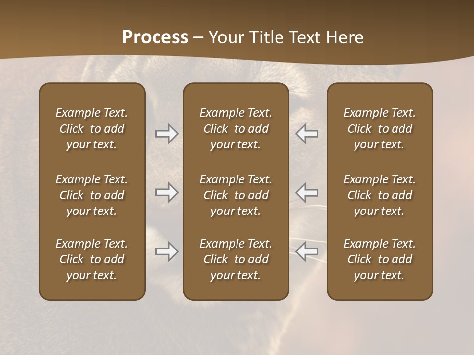Peeking Cougar PowerPoint Template