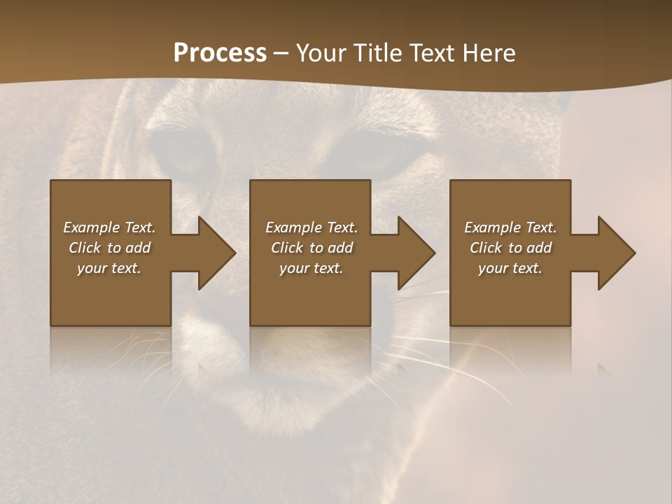 Peeking Cougar PowerPoint Template