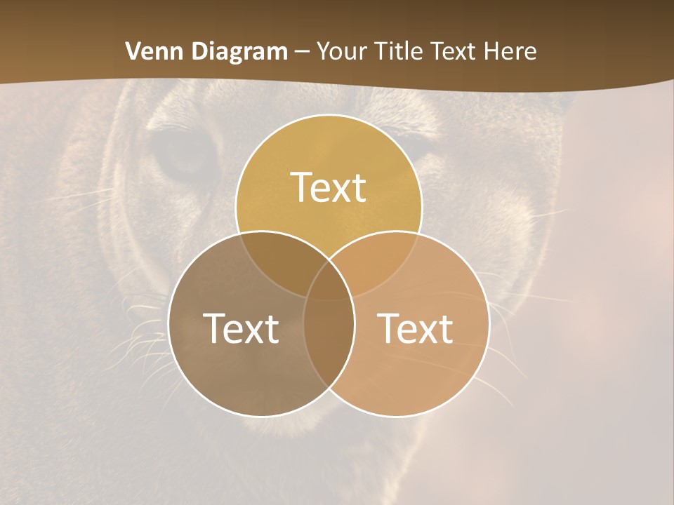 Peeking Cougar PowerPoint Template