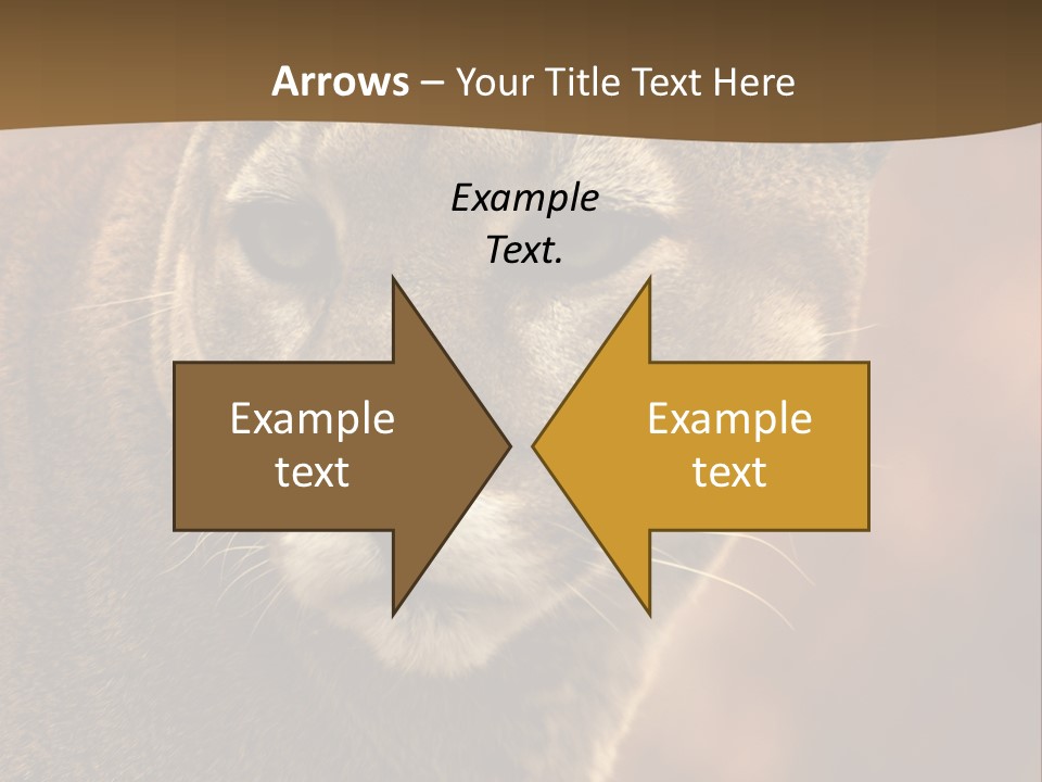 Peeking Cougar PowerPoint Template