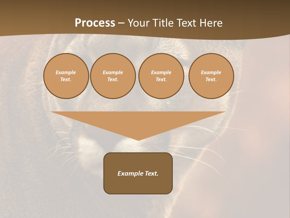Peeking Cougar PowerPoint Template