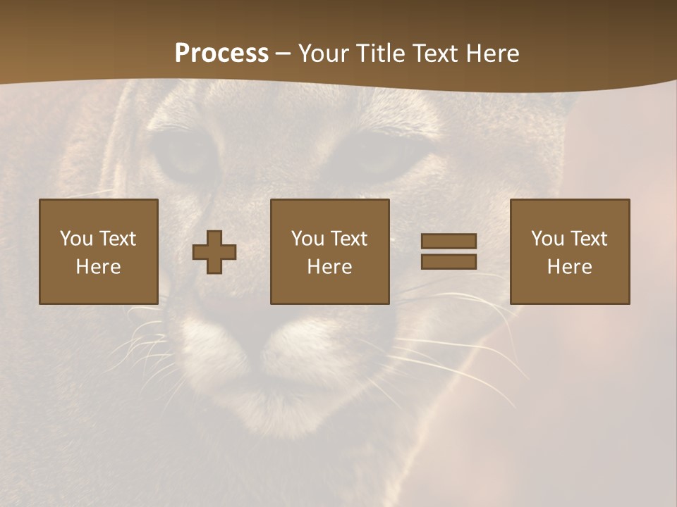 Peeking Cougar PowerPoint Template