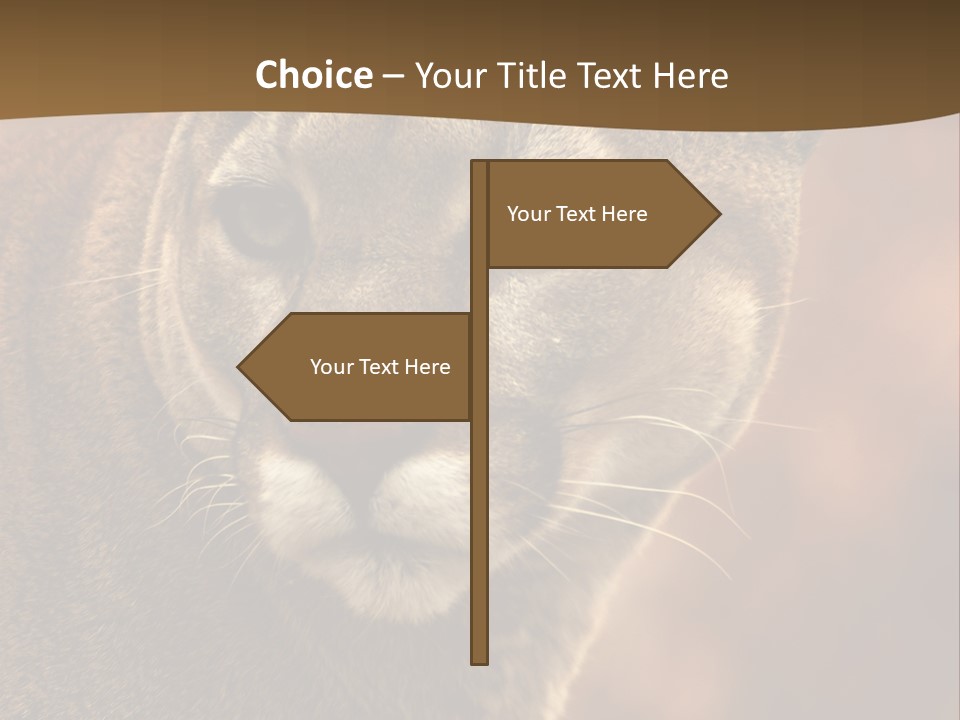 Peeking Cougar PowerPoint Template