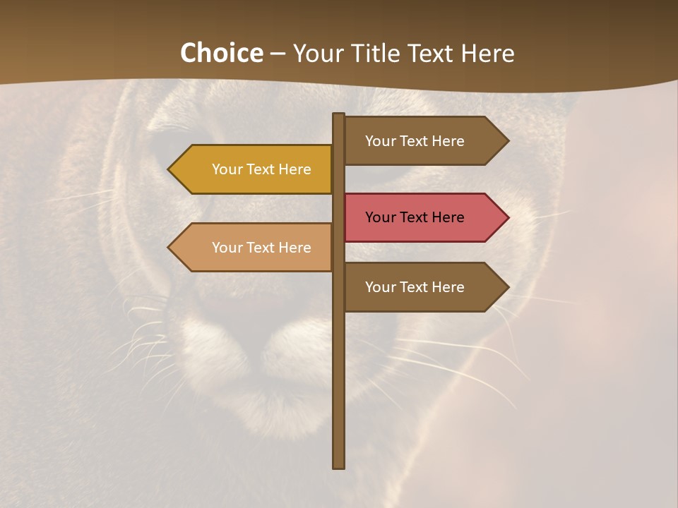 Peeking Cougar PowerPoint Template