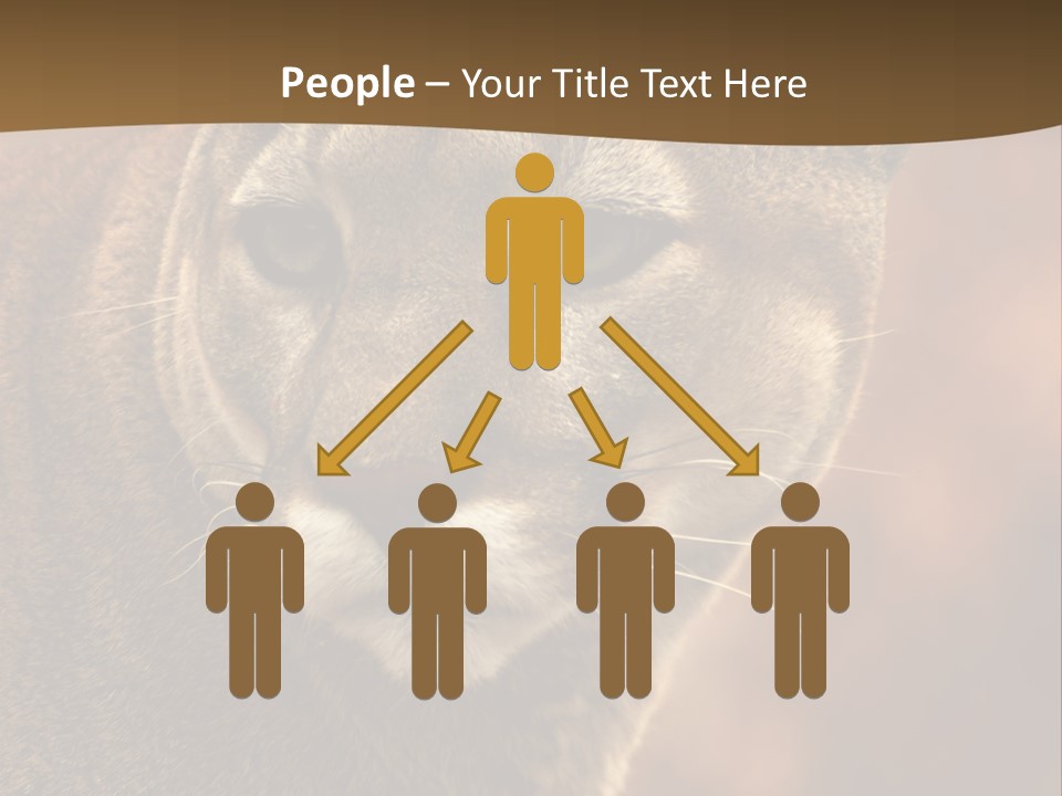 Peeking Cougar PowerPoint Template