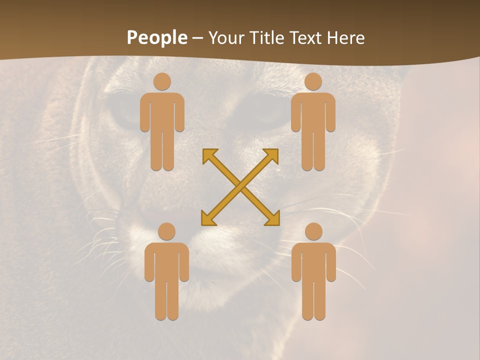 Peeking Cougar PowerPoint Template