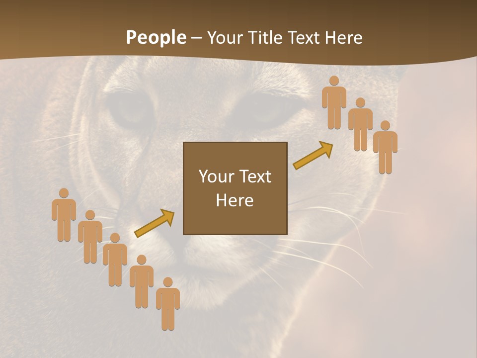 Peeking Cougar PowerPoint Template