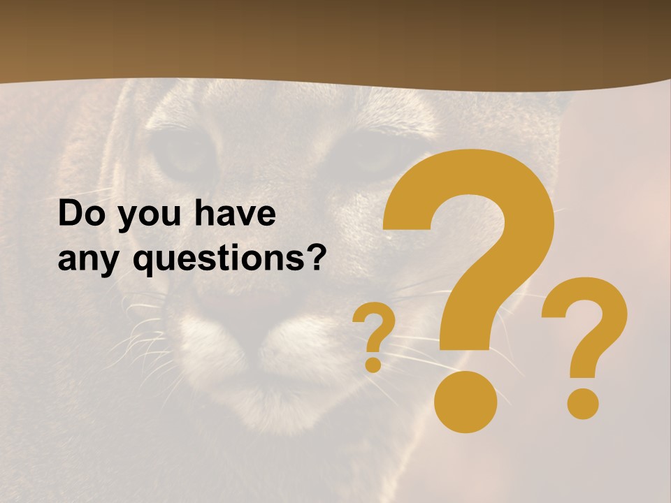 Peeking Cougar PowerPoint Template