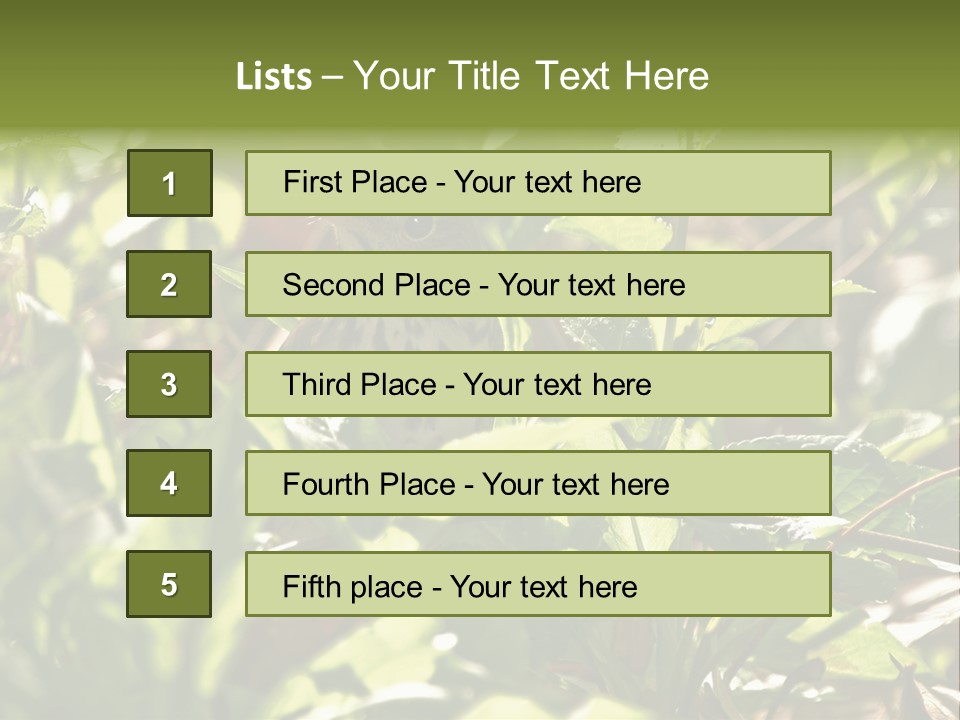Wood Thrush (Hylocichla Mustelina) In Leaves, Central Park, Ny PowerPoint Template