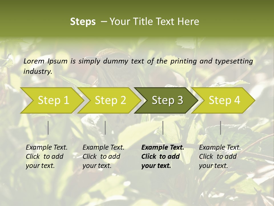 Wood Thrush (Hylocichla Mustelina) In Leaves, Central Park, Ny PowerPoint Template