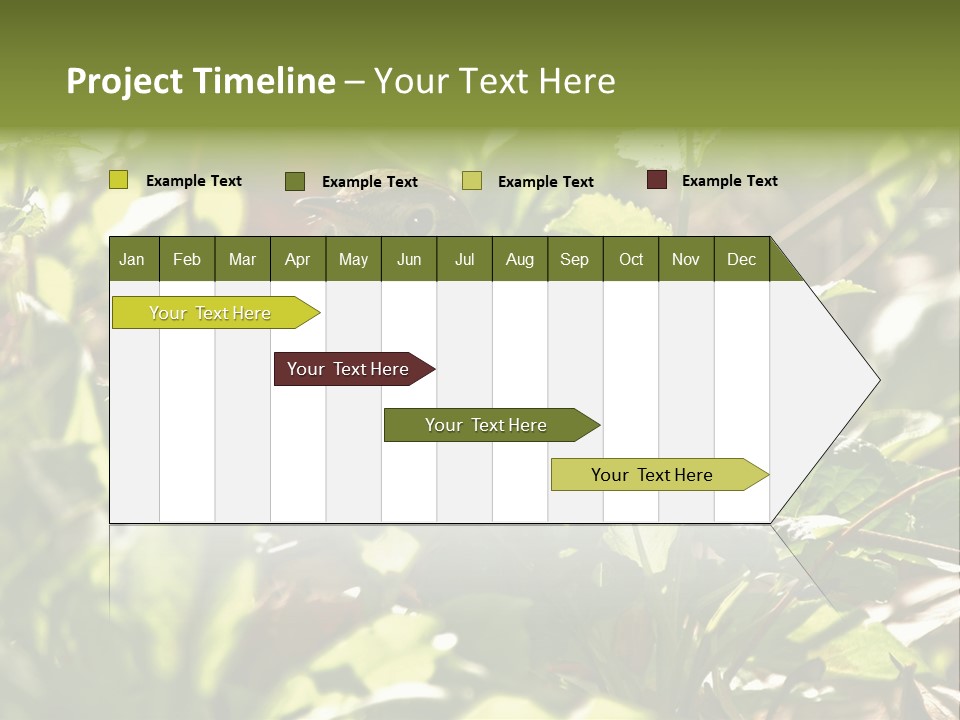 Wood Thrush (Hylocichla Mustelina) In Leaves, Central Park, Ny PowerPoint Template