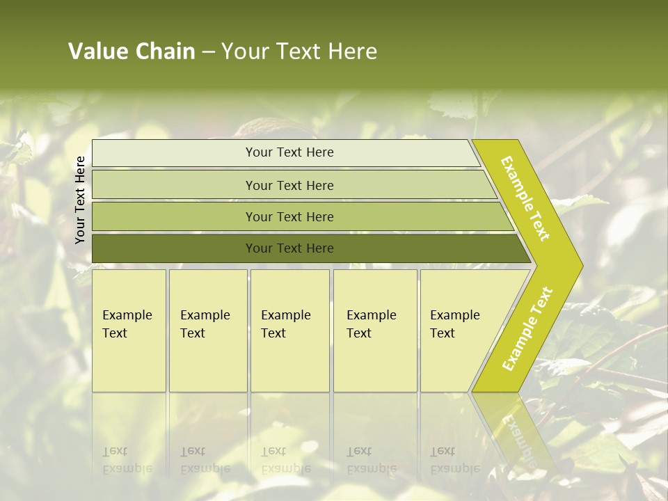 Wood Thrush (Hylocichla Mustelina) In Leaves, Central Park, Ny PowerPoint Template