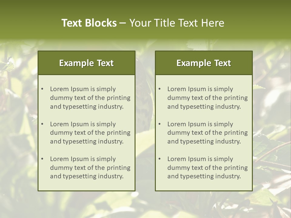Wood Thrush (Hylocichla Mustelina) In Leaves, Central Park, Ny PowerPoint Template