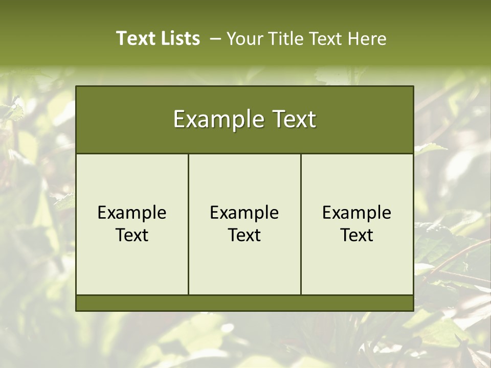 Wood Thrush (Hylocichla Mustelina) In Leaves, Central Park, Ny PowerPoint Template