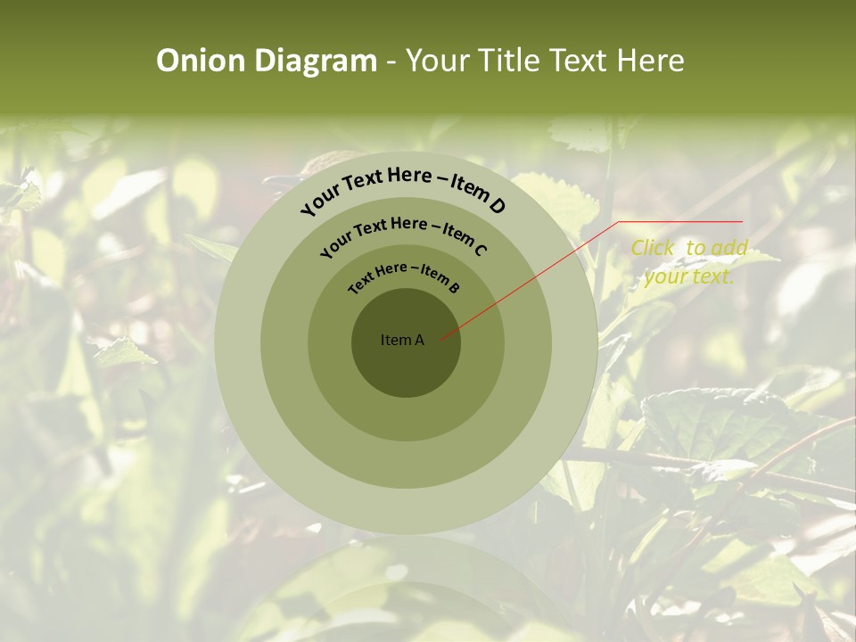 Wood Thrush (Hylocichla Mustelina) In Leaves, Central Park, Ny PowerPoint Template