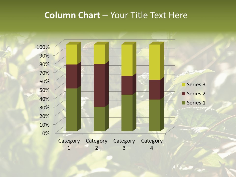 Wood Thrush (Hylocichla Mustelina) In Leaves, Central Park, Ny PowerPoint Template