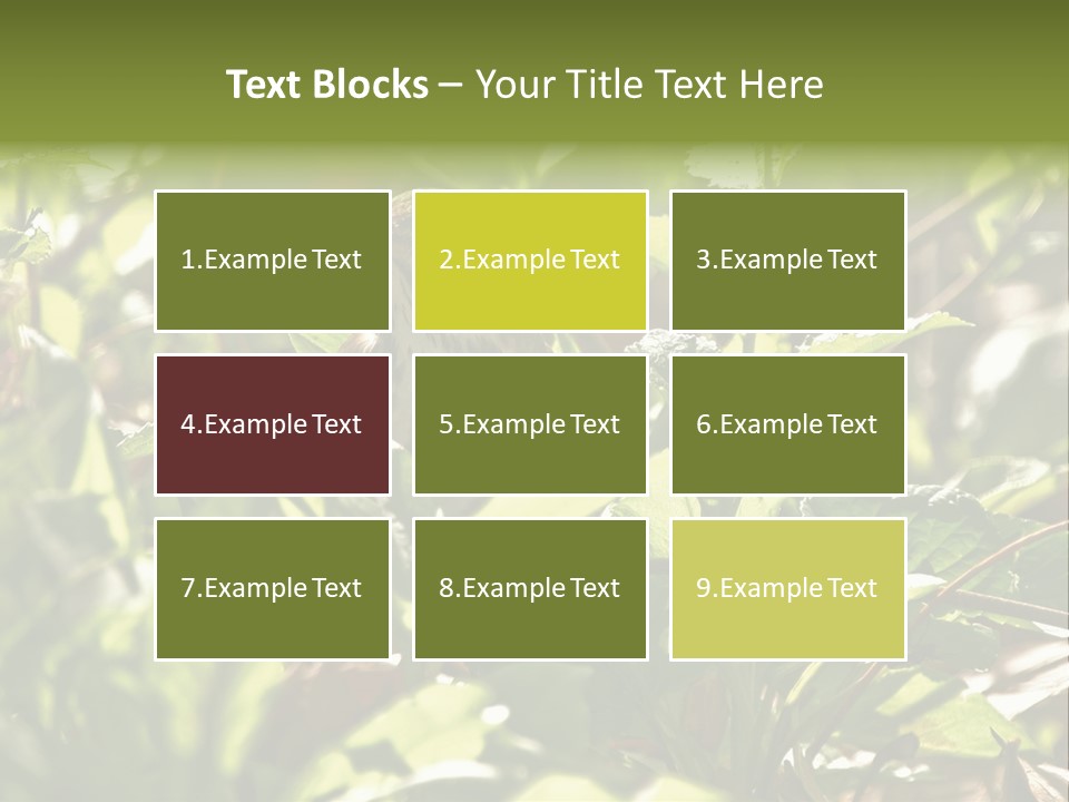 Wood Thrush (Hylocichla Mustelina) In Leaves, Central Park, Ny PowerPoint Template